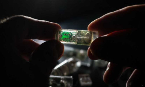 A New Ingested Pill To Send Biometric Signals