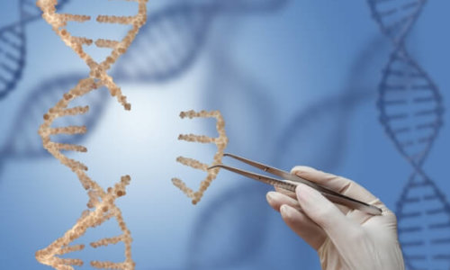 Recent Advances In CRISPR Technology Bring Precision Editing Closer To Reality In Human Cells