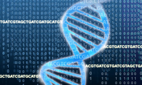 NIH To Fund $185 Million For Research Into Human Genome Functions