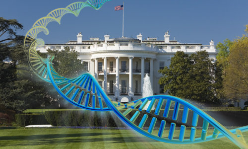 Biden’s Focus On NIH, Genomics And Biomedical Research