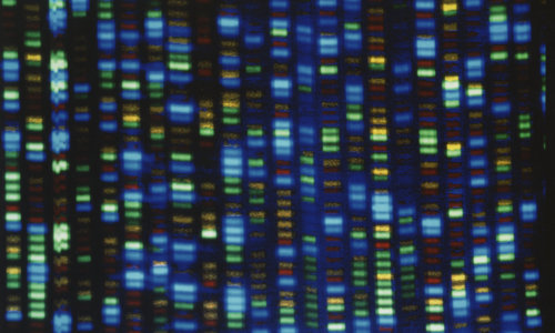 Genome Medical Raises C Round Led By Casdin, Acquires Telehealth Genetic Counseling Company