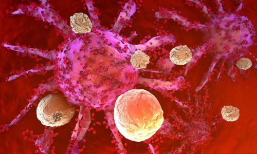 Mayo Clinic Reports mRNA Progress In Cancer Treatment